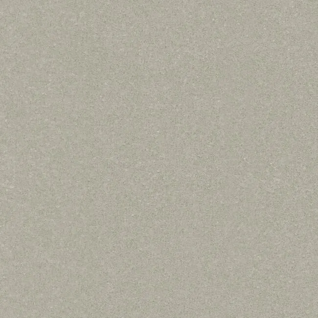 Shimmering Mica