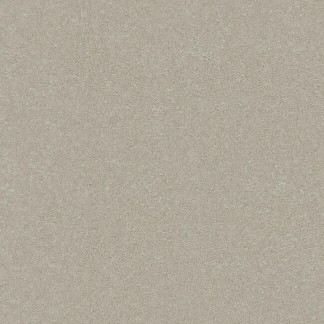 Shimmering Mica