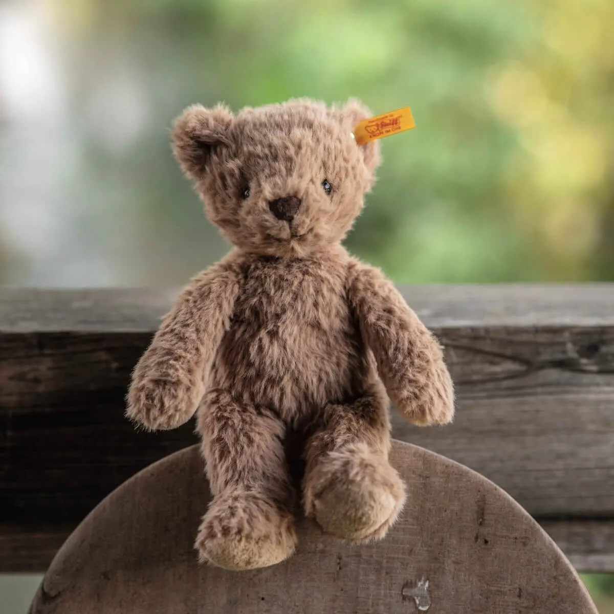 Thommy Teddy Bear (20cm) in Caramel by Steiff